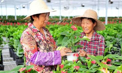 第九届中国花卉博览会上,福建荣获206个奖项,未来发展花卉苗木要关注这些_财经_网